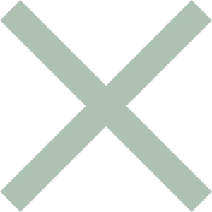 close icon secondary