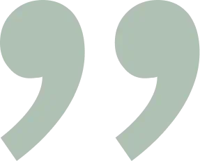 Client testimonial quote